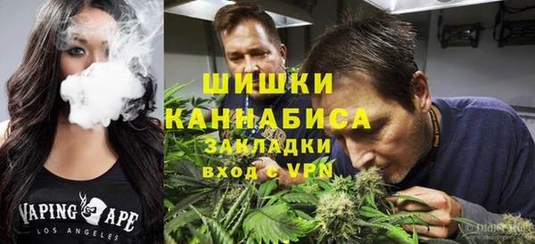МДПВ Алзамай