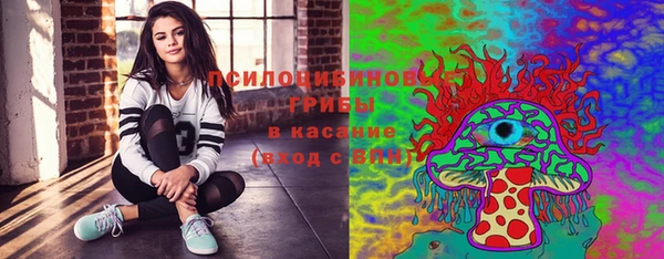 спайс Алексин