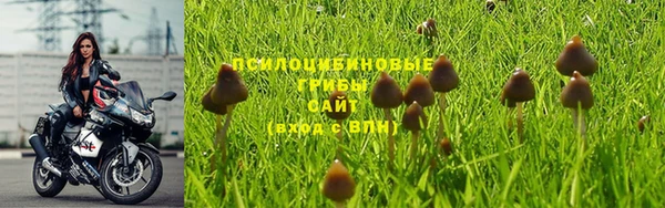 спайс Алексин