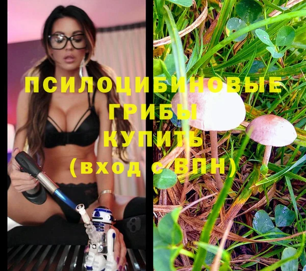 прущий лед Алексеевка