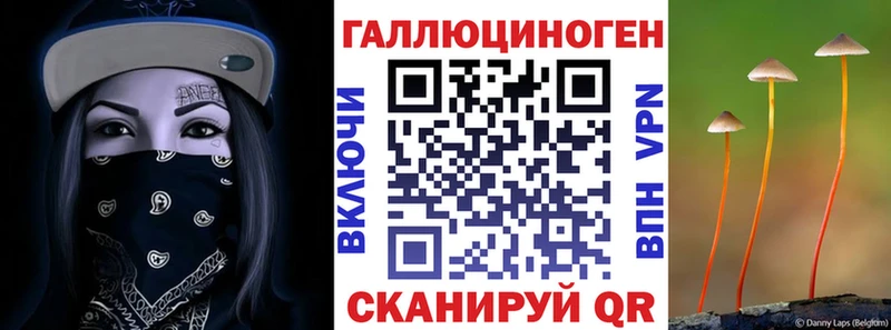 Купить закладки  Северобайкальск  Галлюциногенные грибы GOLDEN TEACHER 